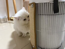 霍尼韦尔（Honeywell）宠物空气净化器吸猫毛除过敏源猫猫搭子 猫毛净化器杀菌消毒除异味KJ360F-C22W 实拍图