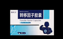 有时力转移因子胶囊 6mg:200μg*36粒/盒*3盒 实拍图