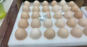 京鲜生谷物鲜鸡蛋礼盒60枚 6斤 源头直发  实拍图