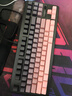 迈从（MCHOSE）G87 V2/K87S旋钮无线机械键盘电竞游戏客制化有线/蓝牙三模gasket结构全键热插拔笔记本电脑办公 G87 V2 黑莓粉渐变侧刻 快金轴 实拍图