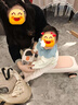 babycare诺亚扭扭车防侧翻儿童溜溜车摇摇车宝宝滑行玩具车3-6岁 橡皮粉 实拍图