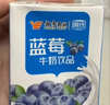 风行牛奶蓝莓风味牛奶饮品 200ml*24盒 风味牛奶量贩装团购 礼盒装送礼 实拍图