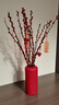 九月生新年装饰银柳真花20支60cm年宵花干花摆件礼盒送礼送亲友带花瓶 实拍图