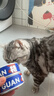 格吾安猫主食罐猫湿粮成猫鲜肉慕斯冰淇淋舔舔质地鸡牛混合85g*6罐 实拍图