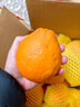 京鲜生 爱媛果冻橙 净重10斤装 单果180g起 生鲜水果柑橘桔子年货礼盒  实拍图