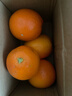【新鲜上市】湖北秭归纽荷尔脐橙热卖核心产区产地直发 带箱1斤60mm 实拍图