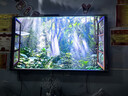 华为Vision智慧屏 5 SE 55英寸 鸿蒙AI搜片MiniLED鸿鹄画质 一级能效国家补贴投屏平板电视机HD55KULU 实拍图