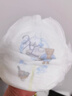 凯儿得乐比得兔拉拉裤2XL64片(超15kg))婴儿学步裤成长裤超薄透气尿不湿 实拍图