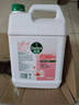 滴露（Dettol）洗手液补充装大桶消毒滋润5L 儿童家庭装杀菌护手 实拍图