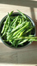 农家四季豆新鲜现摘云南长扁豆角农家应当季蔬菜芸豆现摘菜豆 新鲜四季豆3斤带箱 实拍图