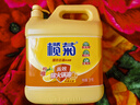 榄菊洗洁精大桶5kg 菊之语柠檬去油果蔬清洗剂餐具食品用级别洗涤灵 实拍图
