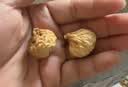 牧果人无花果干500g 0硫熏0漂白青皮无花果 孕妇营养零食泡水滋补煲汤 切半无花果干500g*1罐（为防止中心黑霉，果干切半） 实拍图