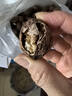 云南今年新货野生老树核桃纸皮薄皮孕妇黑桃薄壳干黑桃零食无漂 云南新货薄皮核桃3斤-老品种大果 实拍图