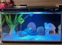 米家（MIJIA）智能生态鱼缸还原自然生态 智能鱼缸+滤芯套装 实拍图