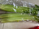 【24小时菜】大芹菜约400g 实拍图