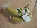 黄胖子进口香蕉650g 实拍图