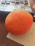 玖原农珍 赣南脐橙新鲜橙子含箱10斤净重9斤优选果150-300g 年货水果礼盒 实拍图