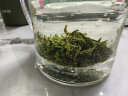 象棋山有机绿茶毛尖茶叶2025新茶明前早春茶广西昭平高山茶铁盒100g 实拍图