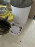 PAPIFEED自动喂食器猫咪小型智能投喂器定时定量喂猫器猫粮狗粮远程喂食机 实拍图
