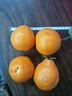 山姆大叔四川不知火丑橘【多地次日达】 丑八怪桔子非耙耙柑新鲜水果礼盒 【7A级金奖甄选】单果75-85mm 9斤【家庭畅享装】净8.5斤推荐* 实拍图