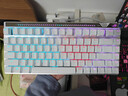 ROG魔导士Ace 75HE 有线游戏键盘 磁轴键盘 六层消音结构 HFX V2磁轴RT0.01电竞键盘 无畏契约 白色 实拍图