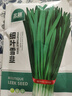 北蔬 细叶韭菜种子苗老品种小叶家庭阳台四季菜种籽 细叶雪韭种子40g 实拍图