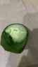 京鲜生 智利进口牛油果 大果6粒装(非即食)单果重130g起 生鲜水果 实拍图