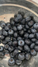 怡颗莓Driscoll's云南蓝莓Jumbo大果18mm+ 2盒装 约125g/盒 新鲜水果 实拍图