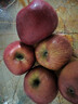 2025正宗云南昭通冰糖心丑苹果新鲜水果苹果当季脆甜水果产地直发 5斤礼盒装（80-90mm） 实拍图