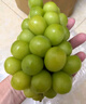 京鲜生 阳光玫瑰葡萄 青提4-4.5斤年货礼盒装 单果约10g 生鲜水果 实拍图