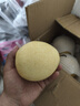 正宗河北鸭梨大果新鲜10斤脆甜梨子水果当季整箱包邮5斤赵县雪梨 特级鸭梨净重9斤 实拍图