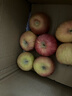 京鲜生新疆阿克苏苹果 净重9斤单果75-80mm 生鲜水果 源头直发 实拍图