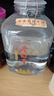 滏陽河老白干衡水53/60/67/76度老白干纯粮食酒桶装泡酒高度白酒坛装自饮散酒 67度 5L 1坛 【老白干香型 优级纯粮玻璃坛泡酒】 实拍图