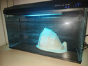 米家（MIJIA）小米米家智能生态鱼缸+画法几何配套加热棒 实拍图