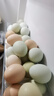 楚逸禾  散养五彩土鸡蛋虫草蛋当日新鲜鸡蛋破损包赔 【五彩土鸡蛋40枚】 【生态林下养殖】 实拍图