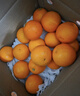 京鲜生 冰糖橙/橙子 5斤装 单果130g-170g 生鲜水果年货礼盒 实拍图