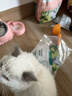 LEGENDSANDY蓝氏全价猫粮生鲜高能系列成猫幼猫 试用 试吃 猎鸟乳鸽 50g*5 实拍图