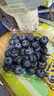 怡颗莓Driscoll's云南蓝莓Jumbo大果18mm+ 6盒约125g/盒 水果年货礼盒 实拍图