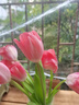 京东鲜花跨晚同款-郁金香鲜花10枝盲盒款（品种随机）源头直发 实拍图