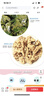 新边界 核桃仁500g（20袋）2025新货新疆185头路整仁特产独立包装 实拍图