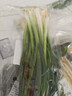 安心小香葱约150g 实拍图