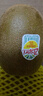 佳沛（zespri）意大利 阳光金奇异果12粒年货礼盒特大果单果约122-146g 猕猴桃 实拍图
