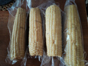京鲜生东北白糯玉米330g*8根 甜黏玉米低脂早餐代餐粗粮真空装 源头直发 实拍图
