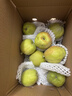 京鲜生 新疆特级库尔勒香梨 净重5斤单果120g以上 生鲜水果 实拍图