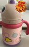 babycare儿童保温杯婴儿宝宝吸管水杯霸王龙不锈钢保温杯300ml-新旧款混发 实拍图