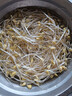 七鲜【有机】黄豆芽 200g 实拍图