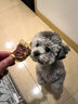 Meatyway 爵宴宠物狗狗零食 成犬幼犬训狗奖励零食 脆脆鸭肉缠梨908g 实拍图