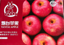 京鲜生 烟台红富士苹果 净重5.2斤/12粒  单果190-240g  水果礼盒 实拍图