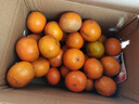 广西沃柑10斤新鲜纯甜橘子当季时令水果桔子柑橘应季整箱水果 9斤装（70mm+精选特大果） 实拍图