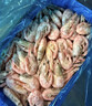 禧美海产加拿大熟冻北极甜虾1斤/袋 65-85只 (MSC认证) 海鲜水产 实拍图